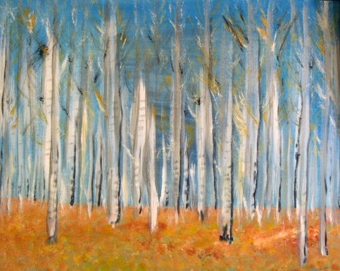 Birch forest trees