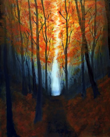 Dark forest in autumn
